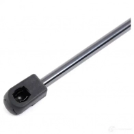 Амортизатор капота RIDEX 514g0130 1437745657 XVR DE - Изображение 4