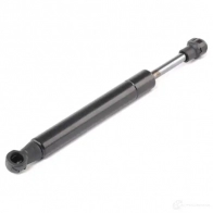 Амортизатор капота RIDEX 1437745459 514g0011 D EKJT - Изображение 3