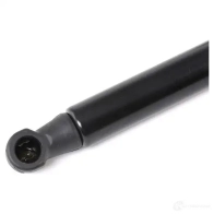 Амортизатор капота RIDEX 1437745459 514g0011 D EKJT - Изображение 4