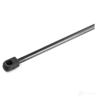 Амортизатор капота RIDEX 1437745722 514g0132 19C9 PJ - Изображение 5