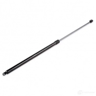 Амортизатор капота RIDEX 1437745722 514g0132 19C9 PJ - Изображение 6