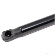 Амортизатор капота RIDEX 514g0083 1437745667 P 11BX - Изображение 3