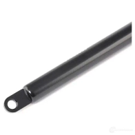 Амортизатор капота RIDEX 1437745674 514g0038 3 OS6B - Изображение 3