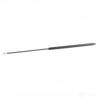 Амортизатор капота RIDEX PG ZXHH 1437745704 514g0016 - Изображение 1