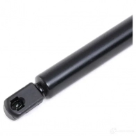Амортизатор капота RIDEX 514g0121 1437745740 P FW0Z - Изображение 4