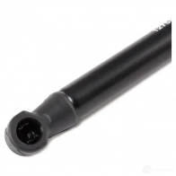Амортизатор капота RIDEX 1437745669 514g0073 RXZ F85 - Изображение 4