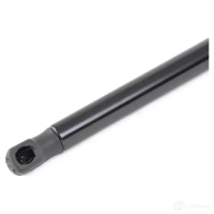 Амортизатор капота RIDEX 514g0119 1437745719 CH NEE - Изображение 3