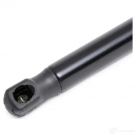 Амортизатор капота RIDEX DQYB6X M 1437745647 514g0147 - Изображение 3