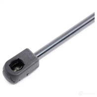 Амортизатор капота RIDEX DQYB6X M 1437745647 514g0147 - Изображение 4