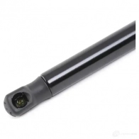 Амортизатор капота RIDEX 1437745910 514g0085 S PTBSPZ - Изображение 4