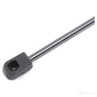 Амортизатор капота RIDEX 1437745910 514g0085 S PTBSPZ - Изображение 5