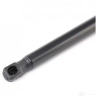 Амортизатор капота RIDEX XA SKPK 1437745694 514g0124 - Изображение 3