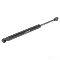 Амортизатор заднего стекла RIDEX 2454g0019 SKN 7GSB 1437702763 - Изображение 3
