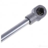 Амортизатор заднего стекла RIDEX 2454g0019 SKN 7GSB 1437702763 - Изображение 4