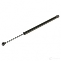 Амортизатор заднего стекла RIDEX 2454g0024 6VB QK 1437702759 - Изображение 3