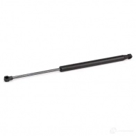 Амортизатор заднего стекла RIDEX 2454g0021 1437702751 56 YUW9G - Изображение 3