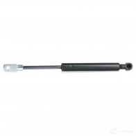 Амортизатор заднего стекла RIDEX D G80Z 2454g0011 1437703149 - Изображение 1