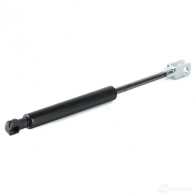 Амортизатор заднего стекла RIDEX D G80Z 2454g0011 1437703149 - Изображение 3