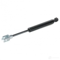 Амортизатор заднего стекла RIDEX D G80Z 2454g0011 1437703149 - Изображение 4