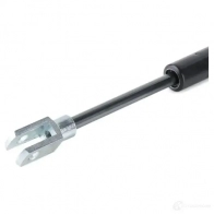 Амортизатор заднего стекла RIDEX D G80Z 2454g0011 1437703149 - Изображение 5