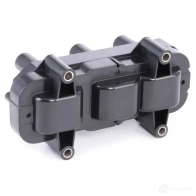 Катушка зажигания RIDEX 689c0316 1437943088 8TPG Y - Изображение 4