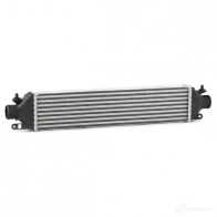Интеркулер RIDEX 1437645213 WD EGEWG 468i0064 - Изображение 3