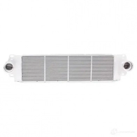 Интеркулер RIDEX VZH DB 468i0004 1437645264 - Изображение 2