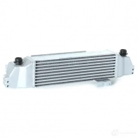 Интеркулер RIDEX 468i0119 G6X DGI 1437645092 - Изображение 2