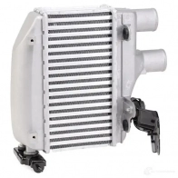 Интеркулер RIDEX 6N PPGR 1438915307 468i0106 - Изображение 3