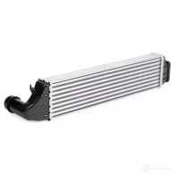Интеркулер RIDEX 468i0025 1437645099 E5HS MD1 - Изображение 4
