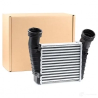 Интеркулер RIDEX PQ N9I3F 468i0009 1437645094 - Изображение 2