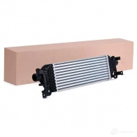 Интеркулер RIDEX 1437970532 468i0301 JPI BV - Изображение 2