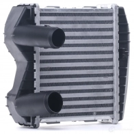 Интеркулер RIDEX QLXB 1AS 1438915344 468i0072