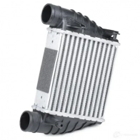 Интеркулер RIDEX 468i0202 1438915354 XG S072 - Изображение 3