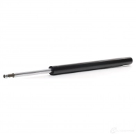 Амортизатор RIDEX B2 EPSDP 854s1515 1437734981 - Изображение 1