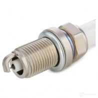 Свеча зажигания RIDEX SM ZTN 1437743841 686S0087 - Изображение 5