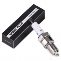 Свеча зажигания RIDEX 4R PNP1 1437943313 686S0137 - Изображение 2
