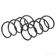 Комплект пружин подвески RIDEX RGBJM 5Y 189s0021 1437669975 - Изображение 3