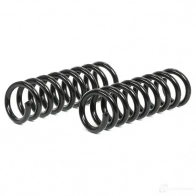 Комплект пружин подвески RIDEX 189s0013 1437670353 5G3P O - Изображение 3