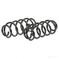 Комплект пружин подвески RIDEX 189s0020 69 KUB8 1437670338 - Изображение 3