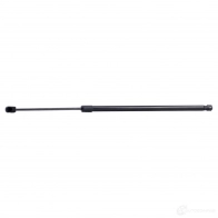 Амортизатор багажника, упор задней двери RIDEX 7 C6C1Y 219g0963 1438014524