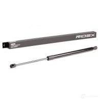 Амортизатор багажника, упор задней двери RIDEX 219g0450 10M MM 1437703375