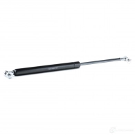 Амортизатор багажника, упор задней двери RIDEX 0I 1RF 1437703913 219g0417