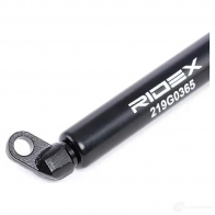 Амортизатор багажника, упор задней двери RIDEX CGAN1 L 1437702726 219g0365 - Изображение 3