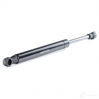 Амортизатор багажника, упор задней двери RIDEX 219g0893 6 239KZ 1437668333