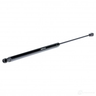 Амортизатор багажника, упор задней двери RIDEX 219g0315 H9 LM05 1437670483