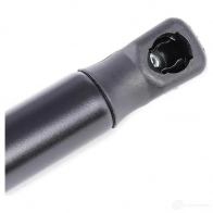 Амортизатор багажника, упор задней двери RIDEX 219g0741 1437703756 RB YUOGD - Изображение 4