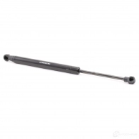 Амортизатор багажника, упор задней двери RIDEX 219g0777 0SH R5 1437669023