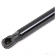 Амортизатор багажника, упор задней двери RIDEX 219g0718 1437668843 4SP WIF - Изображение 4
