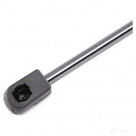 Амортизатор багажника, упор задней двери RIDEX 219g0718 1437668843 4SP WIF - Изображение 5